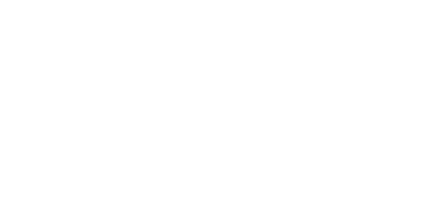 Visa Logo